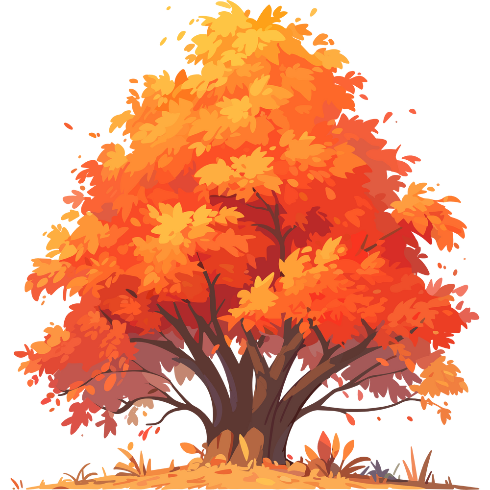 Autumn 25